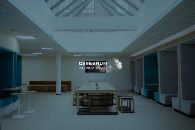 Cerebrum